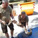 Frau entdeckt 2,5 Meter lange Boa im Garten – Überraschung in Herford