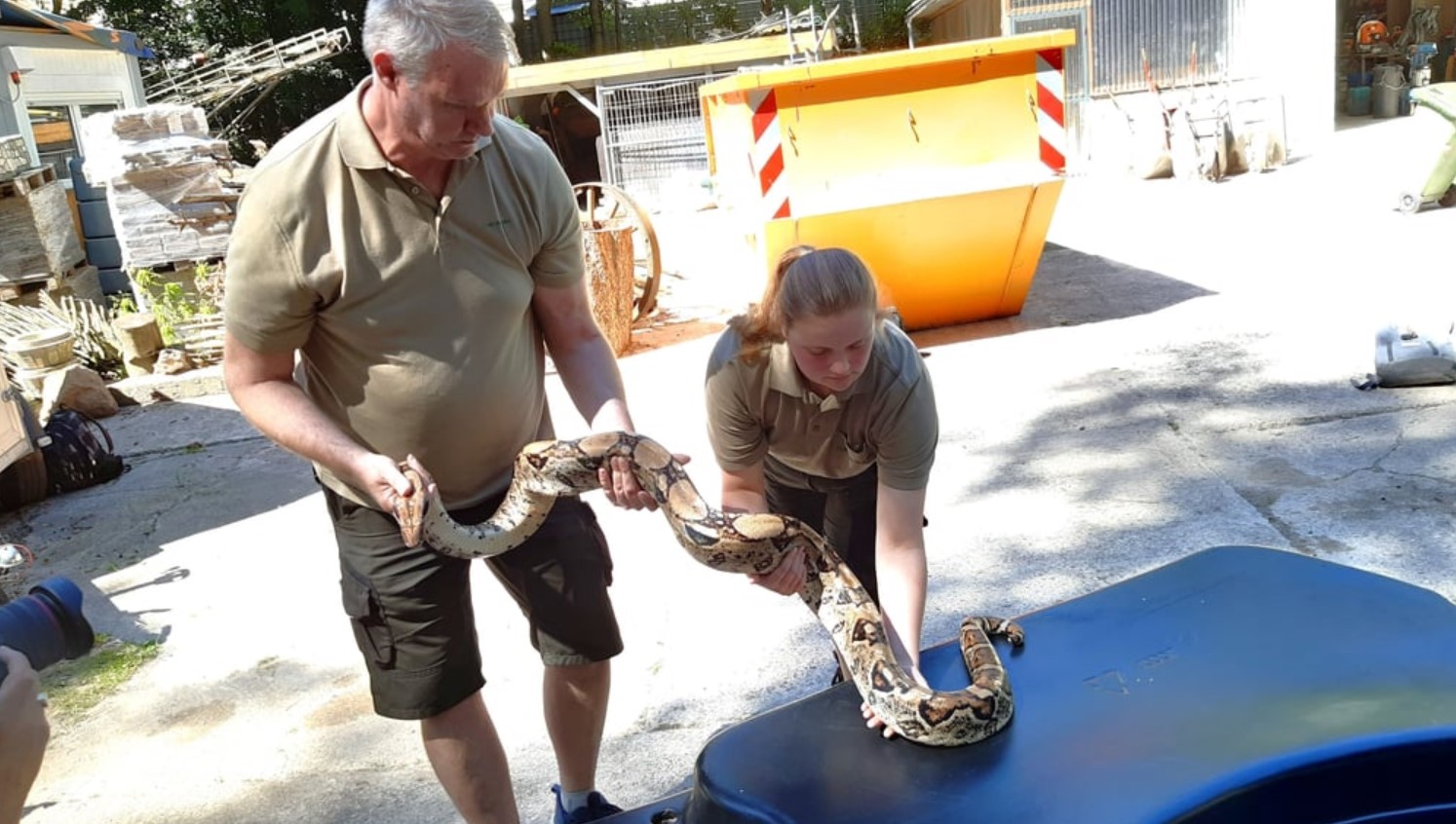 Frau entdeckt 2,5 Meter lange Boa im Garten