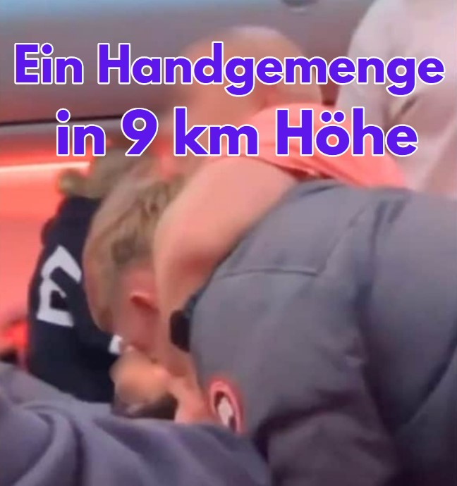 Schlägerei an Bord von Flug LS896