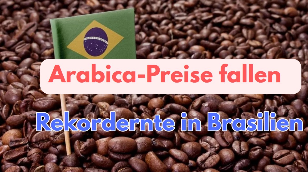 Arabika-Preise. Rekordernte in Brasilien