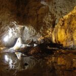 Antibiotikaresistente Bakterien in rumänischer Eishöhle entdeckt